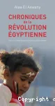 Chroniques de la révolution égyptienne vignette